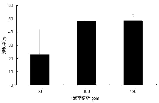 Application of rhamnolipid as biological pesticide and biological insecticide