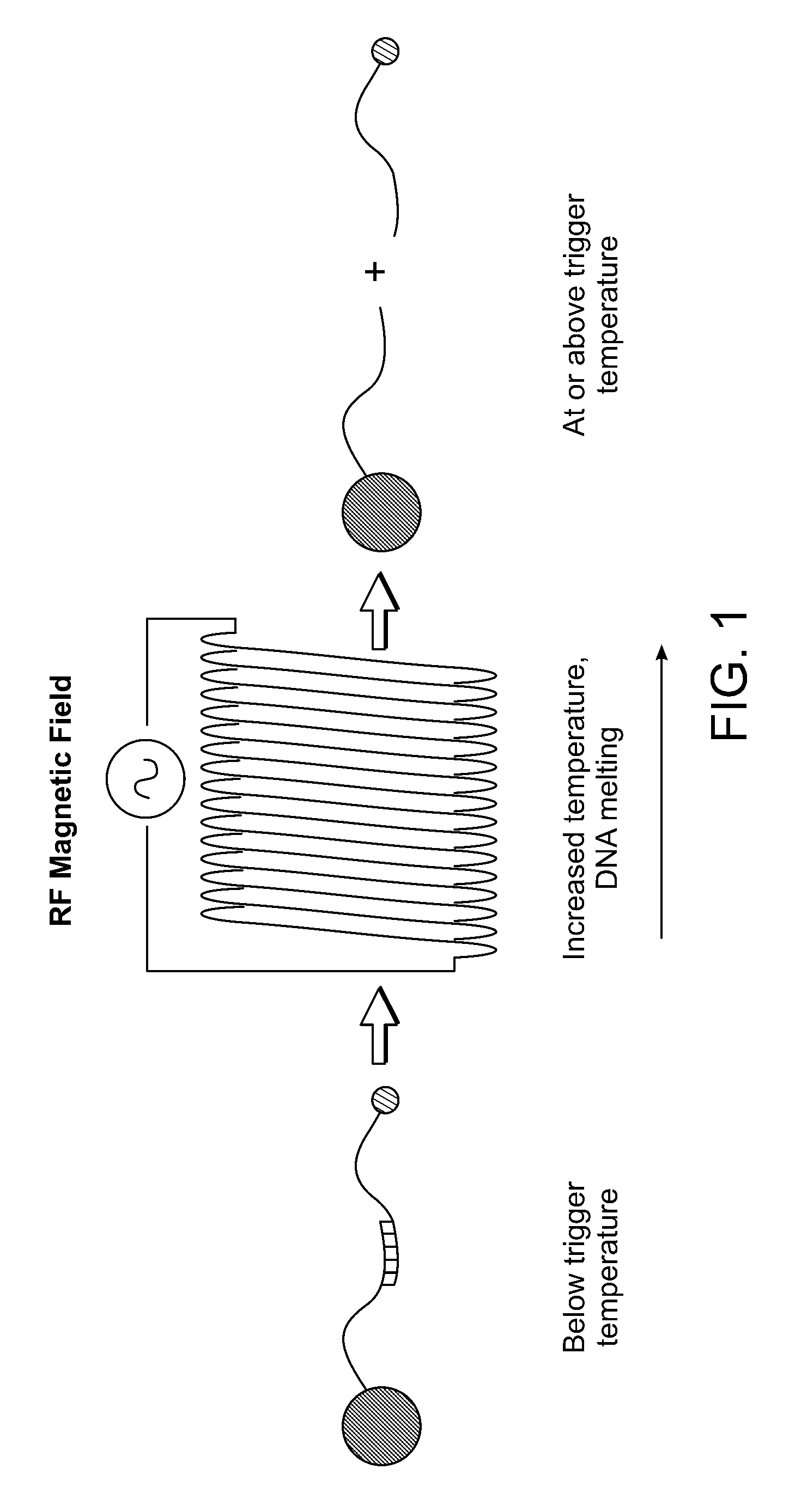 Remotely triggered release from heatable surfaces