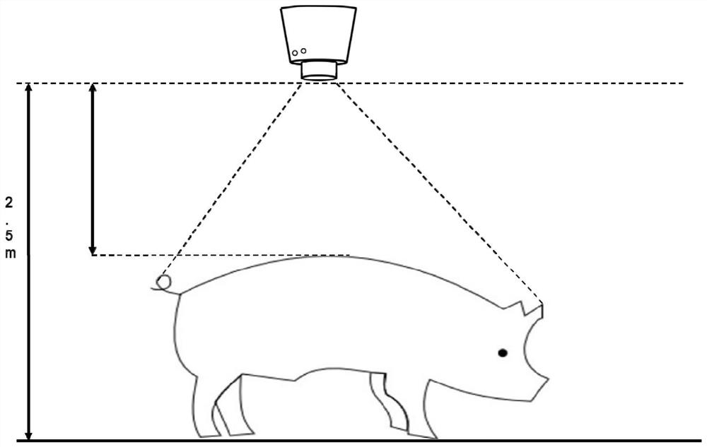 Pig body size and weight estimation method based on deep learning