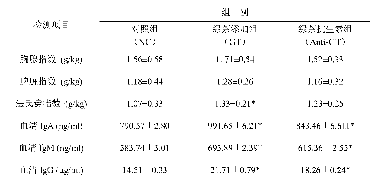 Green tea composite chicken feed additive capable of enhancing immunity of chickens