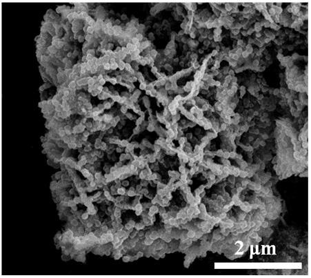 A kind of synthetic method of sns2/mn3o4 three-dimensional multilevel structure and the product obtained therefrom