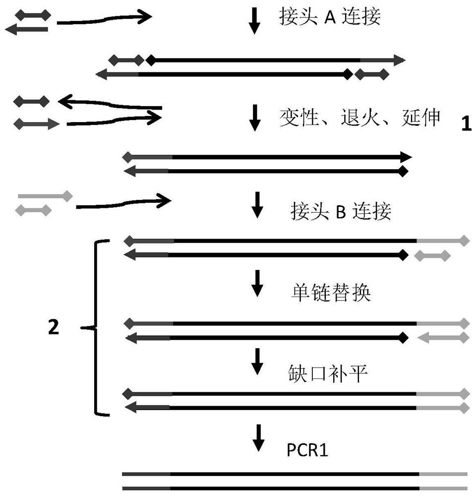 A linker element and method for constructing sequencing library using same