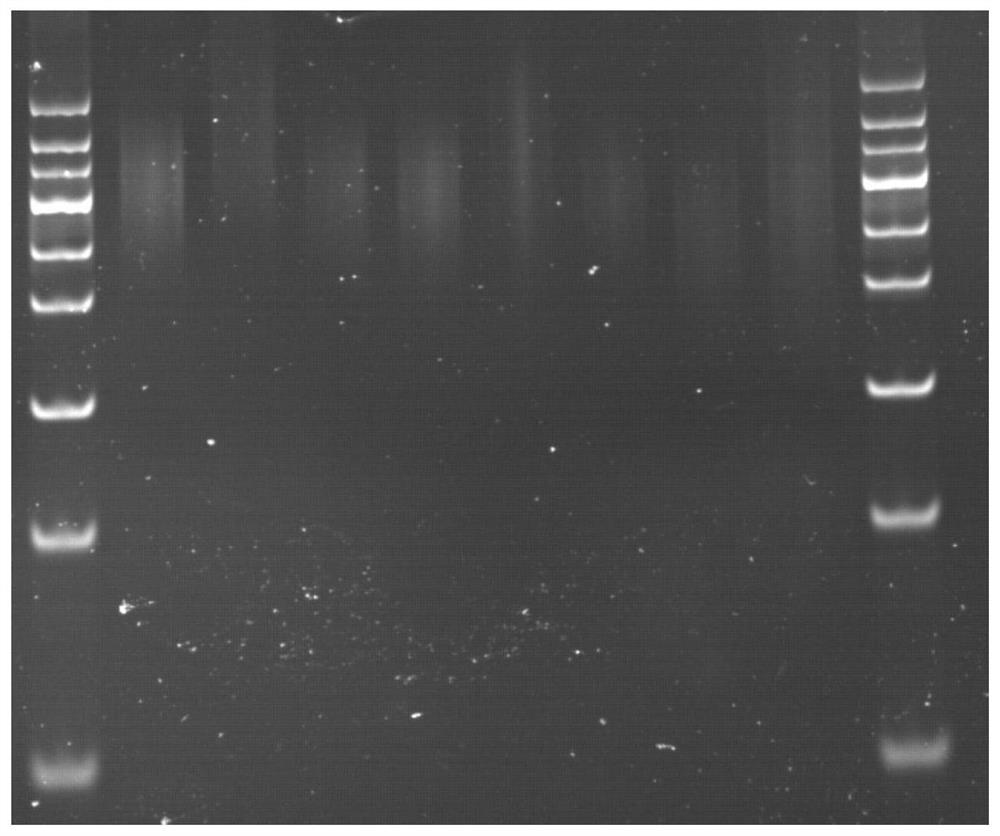 A linker element and method for constructing sequencing library using same