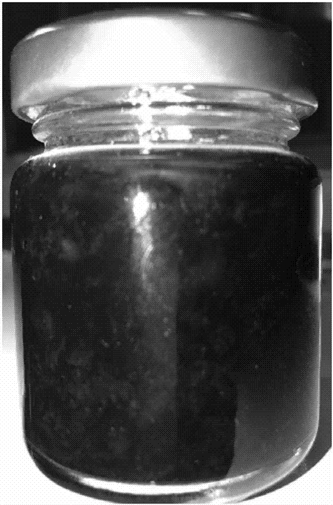 Blueberry jam without edible sugar and preparation method of blueberry jam