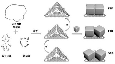 A method for assembling nano-gold cubes to form dimer structures using DNA origami templates based on surface-enhanced Raman effects