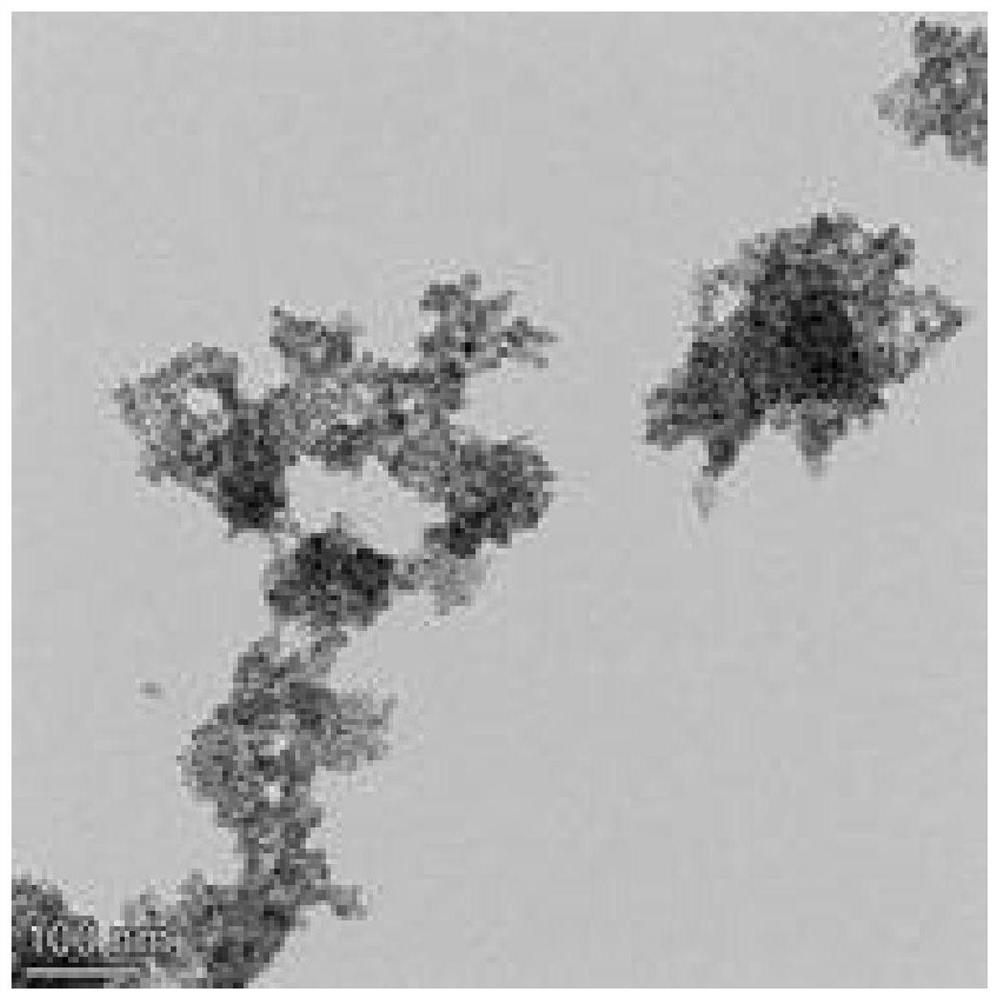 Degradable composite film for heart occluder as well as preparation method and application of degradable composite film