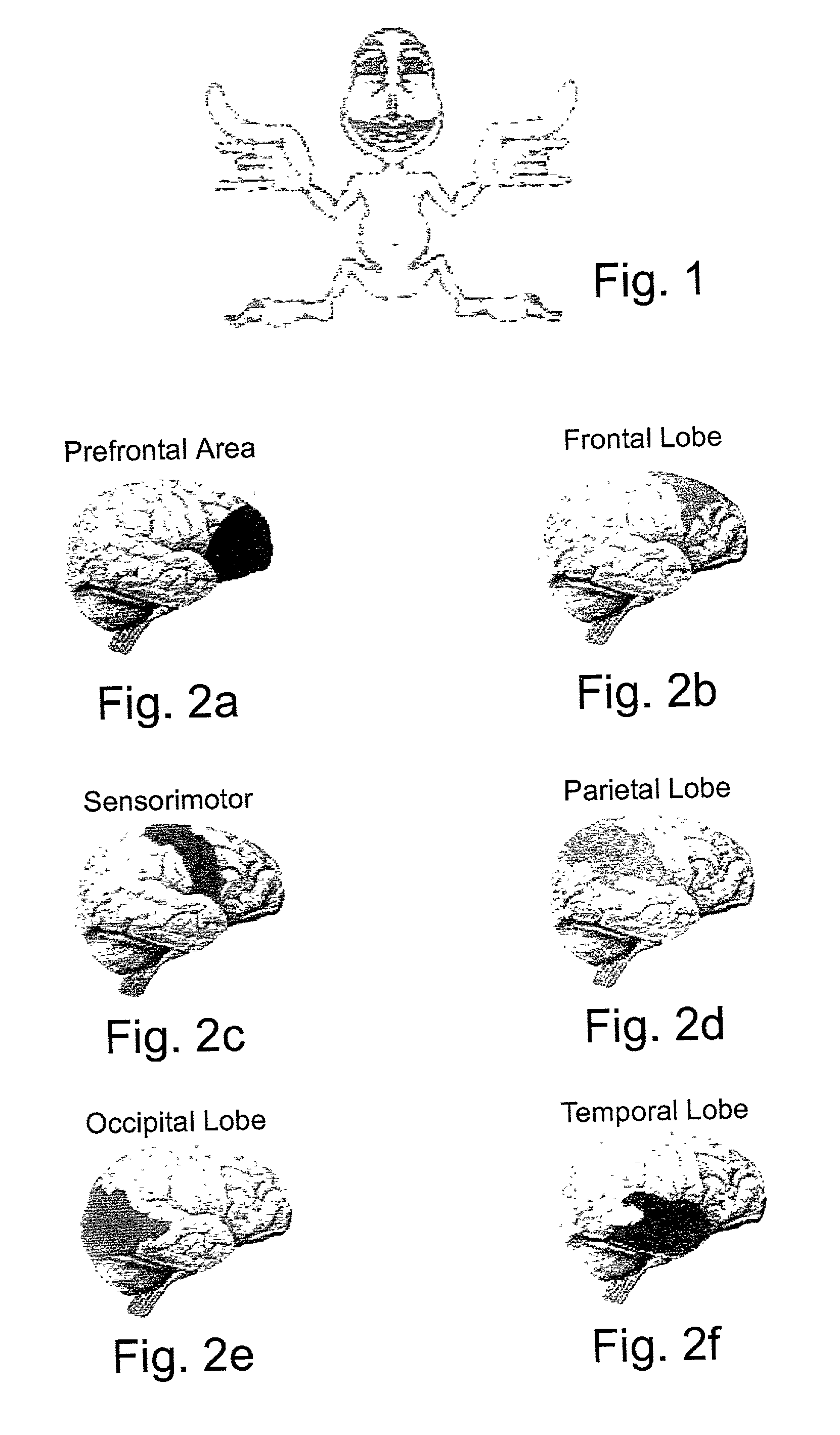 System and method for functional brain mapping and an oxygen saturation difference map algorithm for effecting same