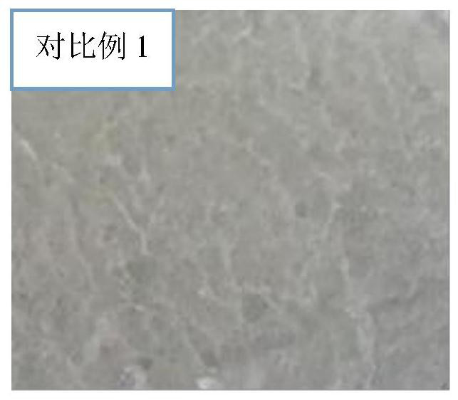 Thick coating type whitening-resistant waterproof coating and preparation method thereof