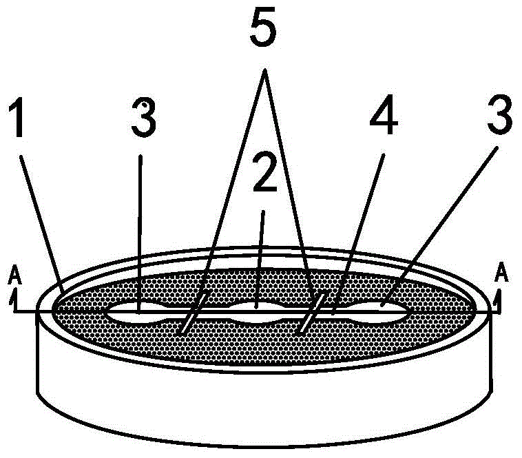 Device for cell membrane permeabilization migration test and forming mould for manufacturing device