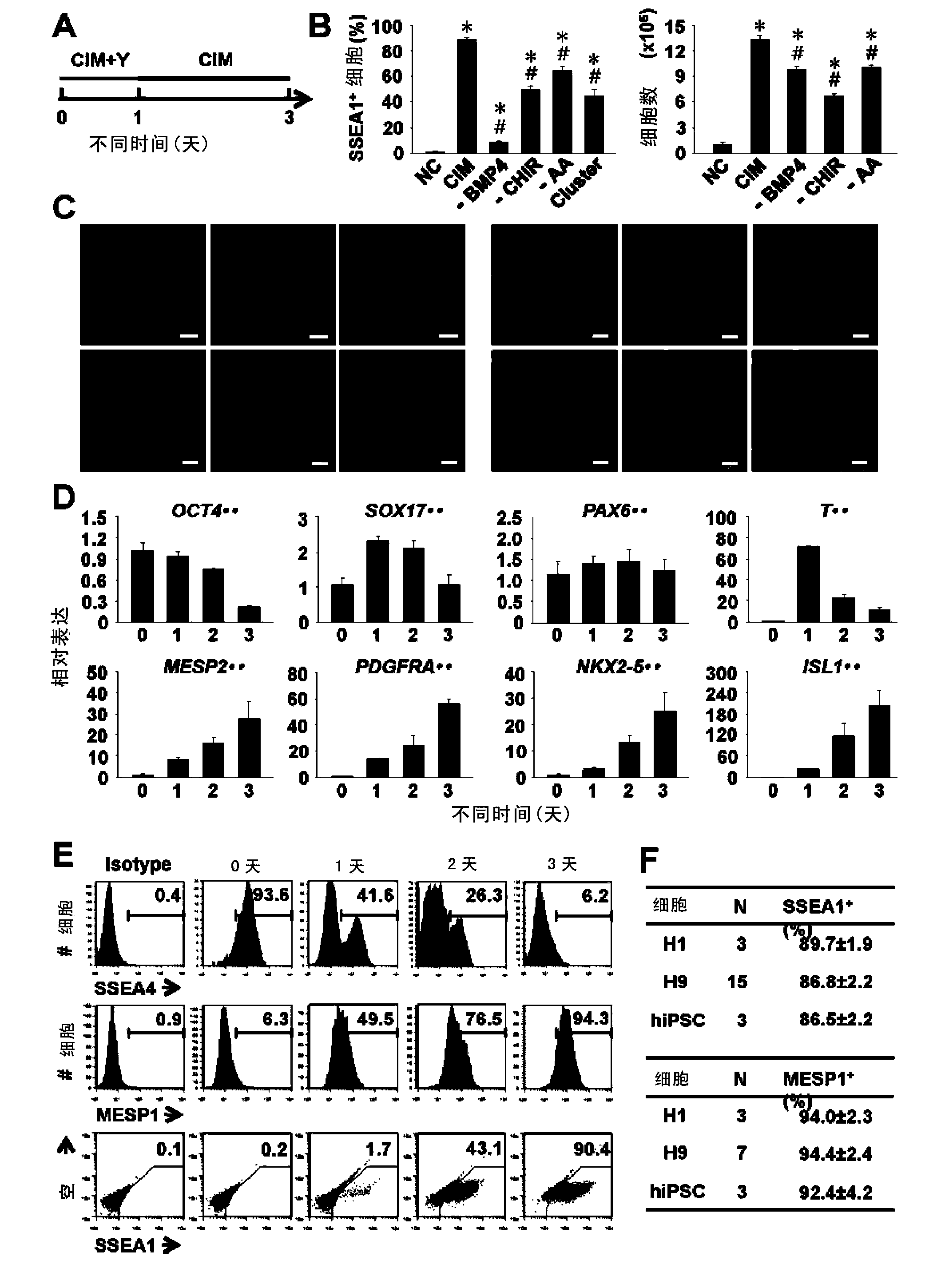 Methods for preparing pleuripotent cardiovascular progenitor cells and maintaining cardiovascular differentiation capacity
