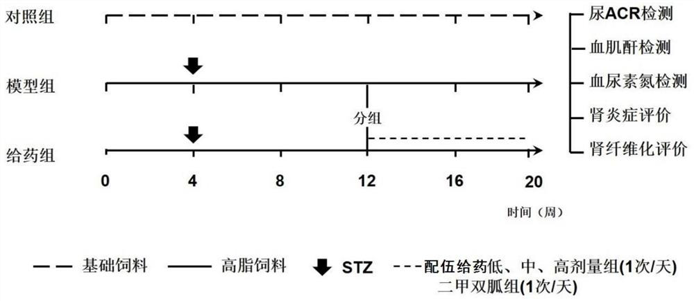 Pharmaceutical composition and application thereof