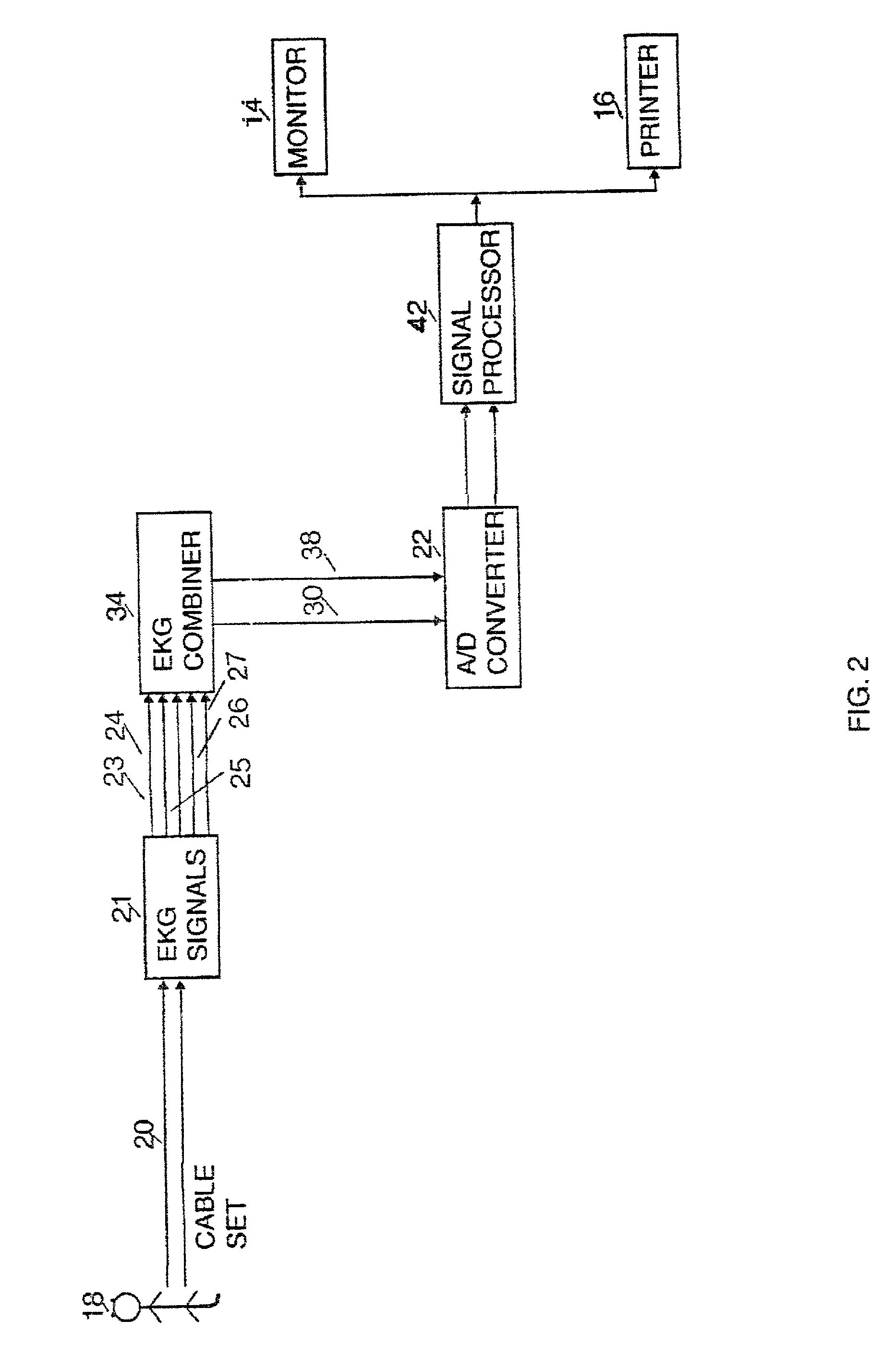 Computerized animal EKG analysis system (2) [AEMPI (2)]