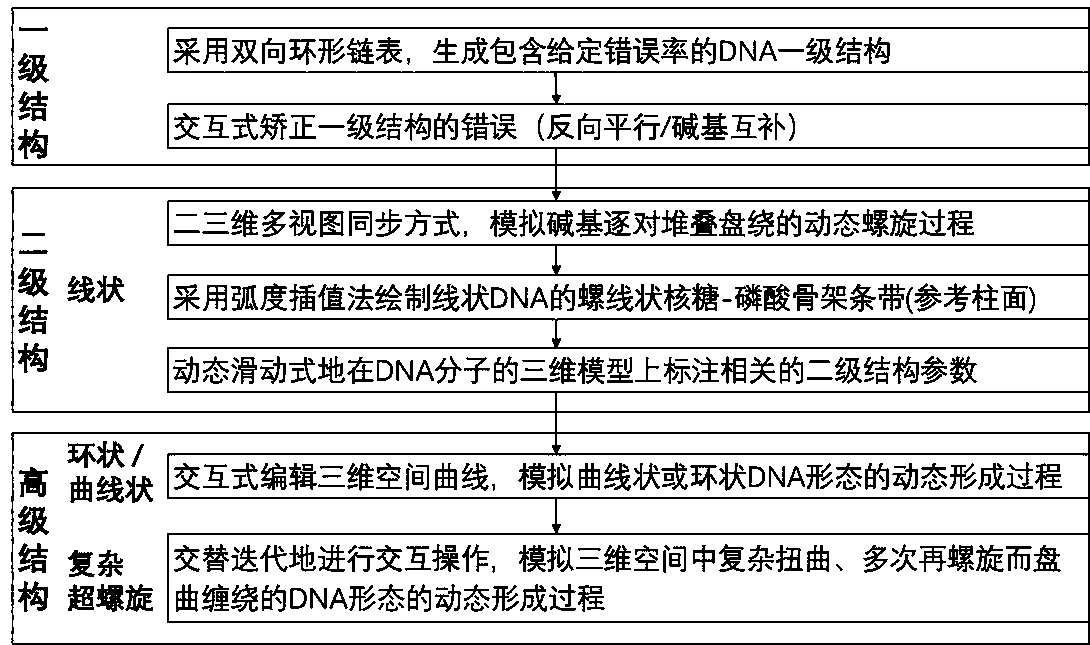 Interactive parameterized three-dimensional DNA conformation simulation method for secondary school teaching