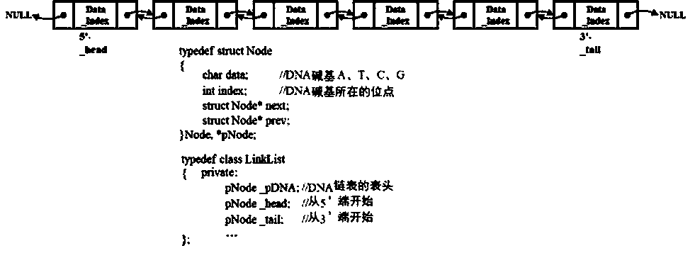 Interactive parameterized three-dimensional DNA conformation simulation method for secondary school teaching