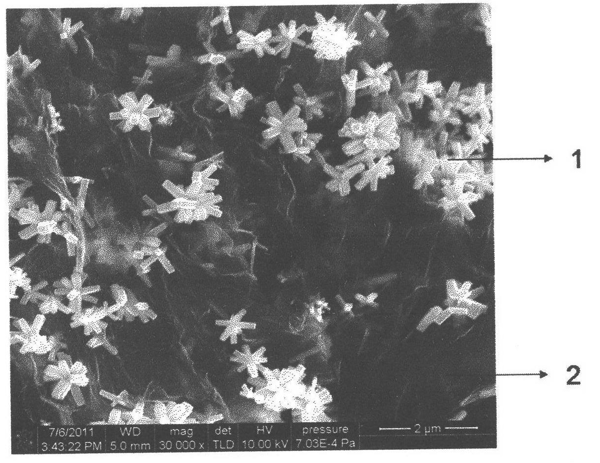 Preparation method of flower-like tin dioxide and graphene composite material