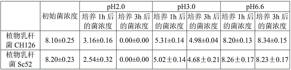 Lactobacillus plantarum CH126 and application thereof in preparing functional food for reducing sugar