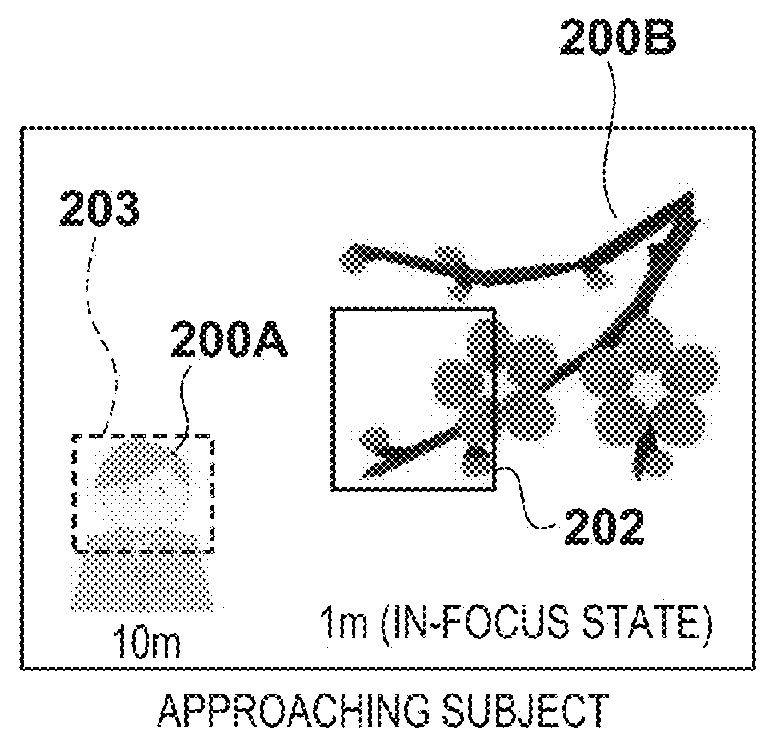 Automatic focus detection apparatus, control method for the same, and image pickup apparatus