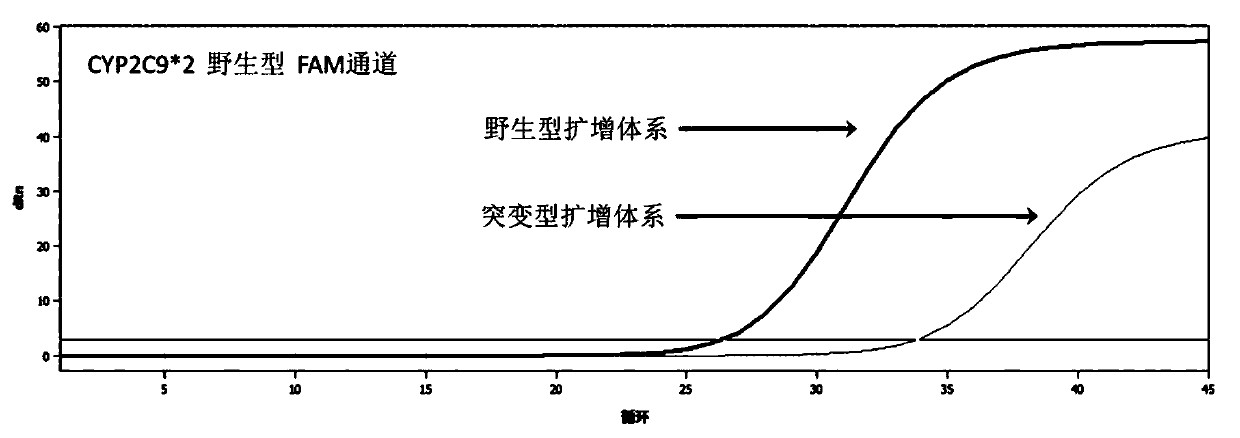 Kit for detecting polymorphism of human CYP2C9 and VKORC1 genes