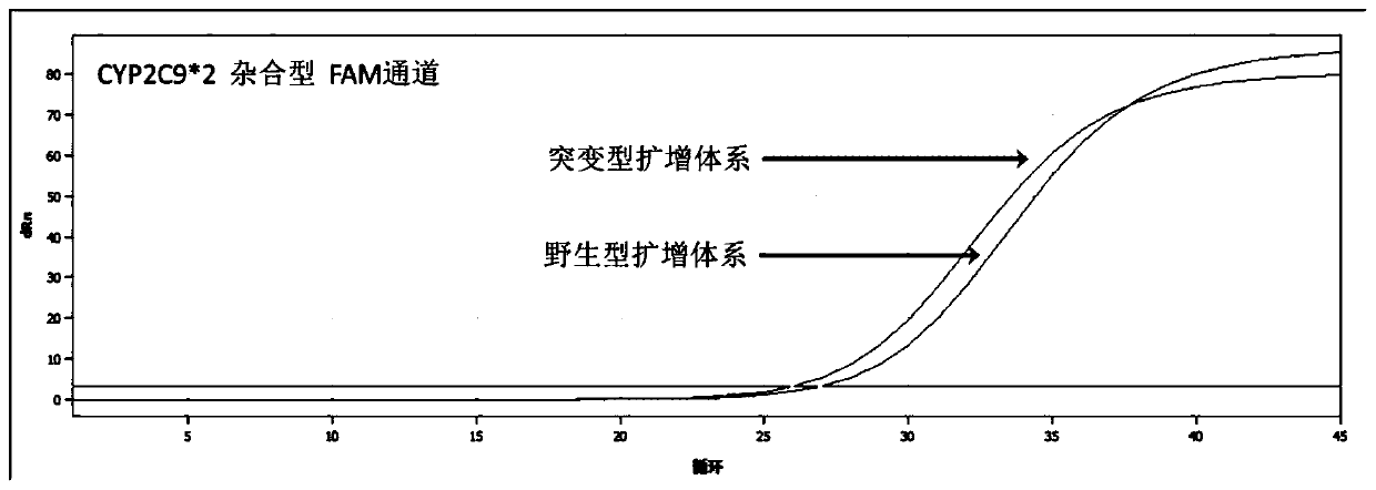 Kit for detecting polymorphism of human CYP2C9 and VKORC1 genes