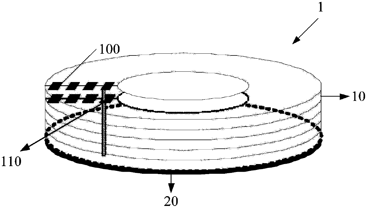 EMP protection invisibility cloak with oval structure