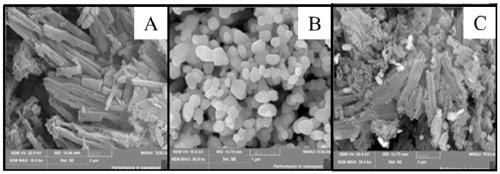 Method for removing dye pollutants by utilizing silver chromate/sulfur-doped carbon nitride Z-shaped photocatalyst