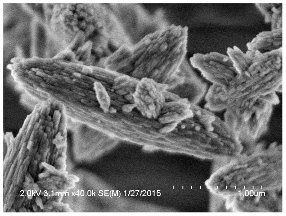 Synthesis method of zsm-12 zeolite molecular sieve with low silicon-aluminum ratio