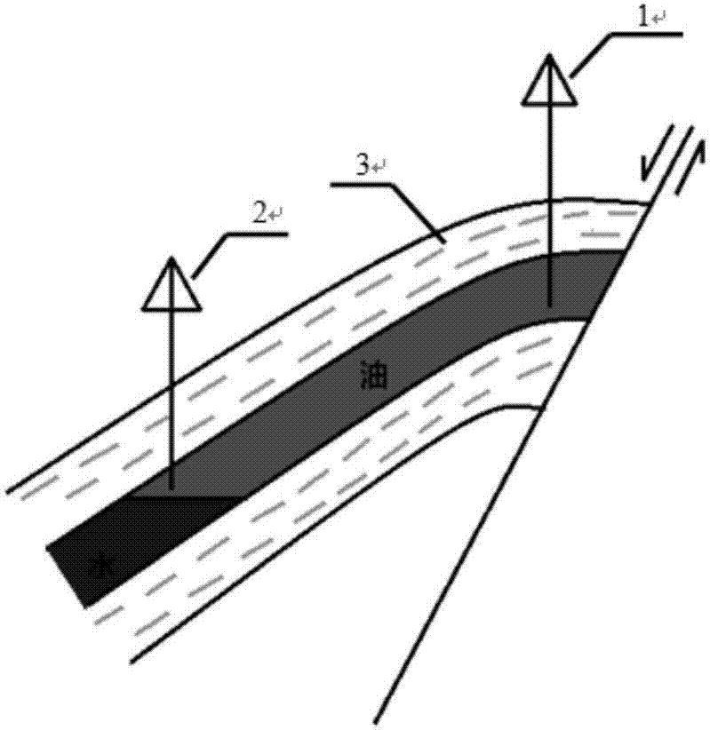 Foam-assisted gravity oil driving method