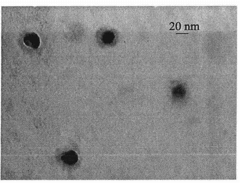 Magnetic fluorescent composite nanoparticle, as well as preparation and use thereof