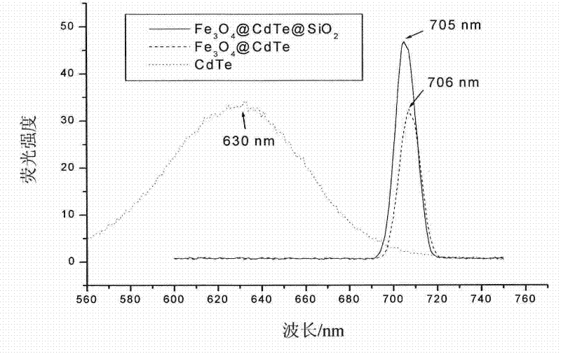 Magnetic fluorescent composite nanoparticle, as well as preparation and use thereof