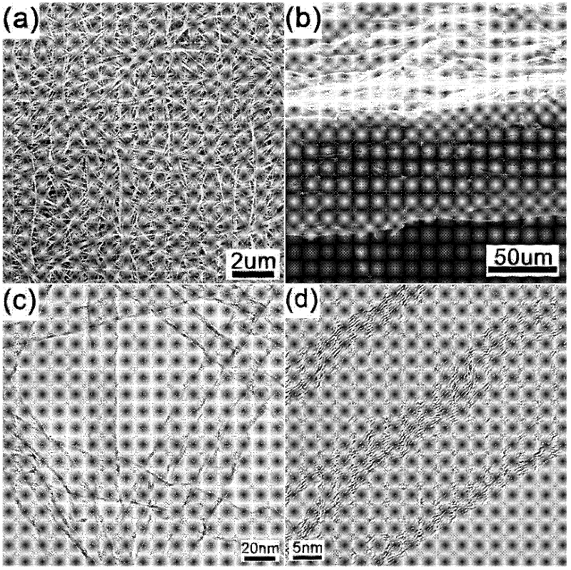High-energy flexible electrode material, preparation method thereof and application in secondary battery