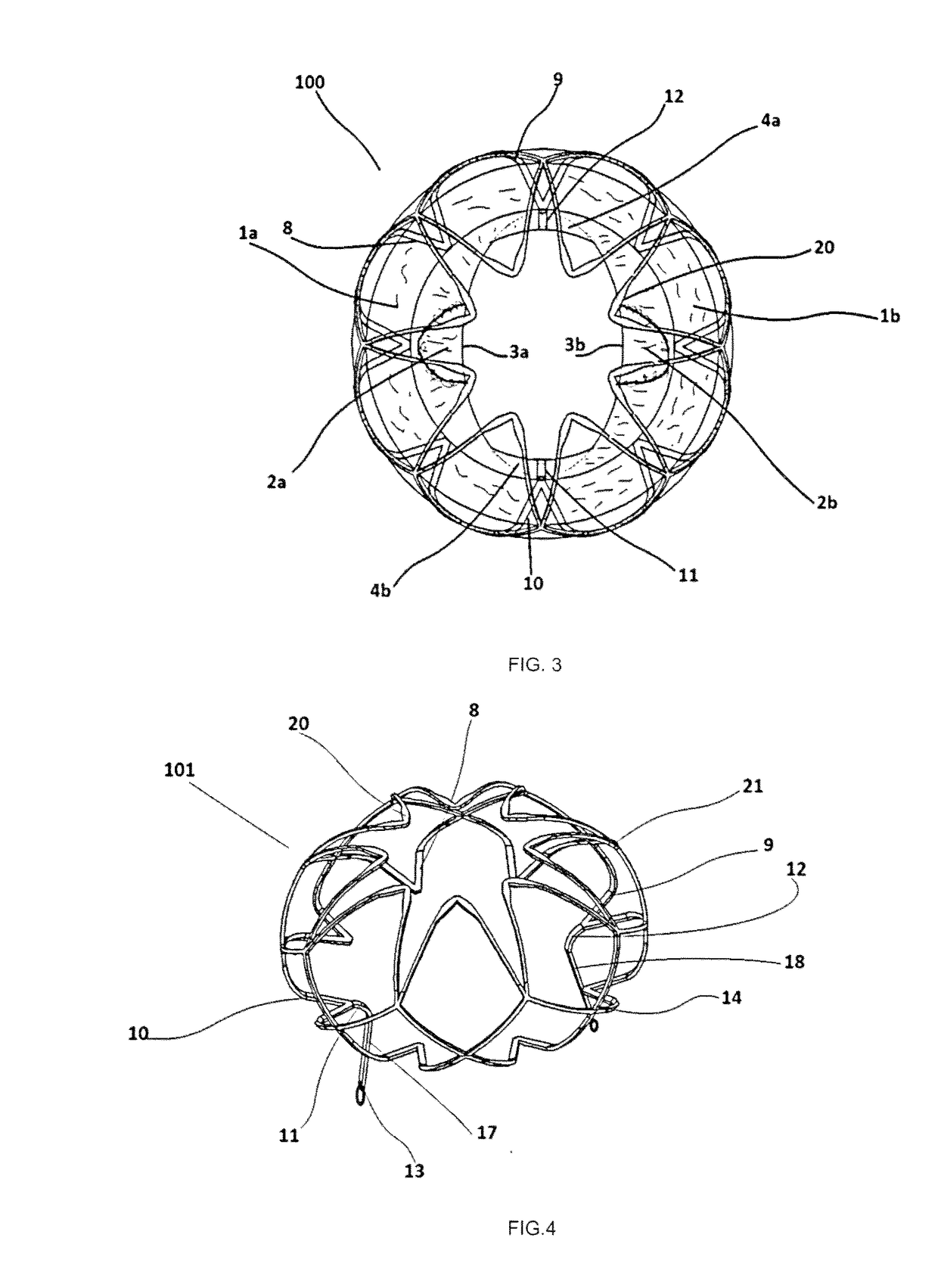 Mitral Valve Assembly