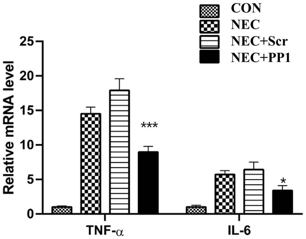 Polypeptide and application and pharmaceutical composition thereof