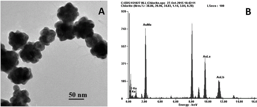 Method for simultaneously detecting oxytetracycline, tetracycline and kanamycin based on ABEI modified flower-shaped nanogold