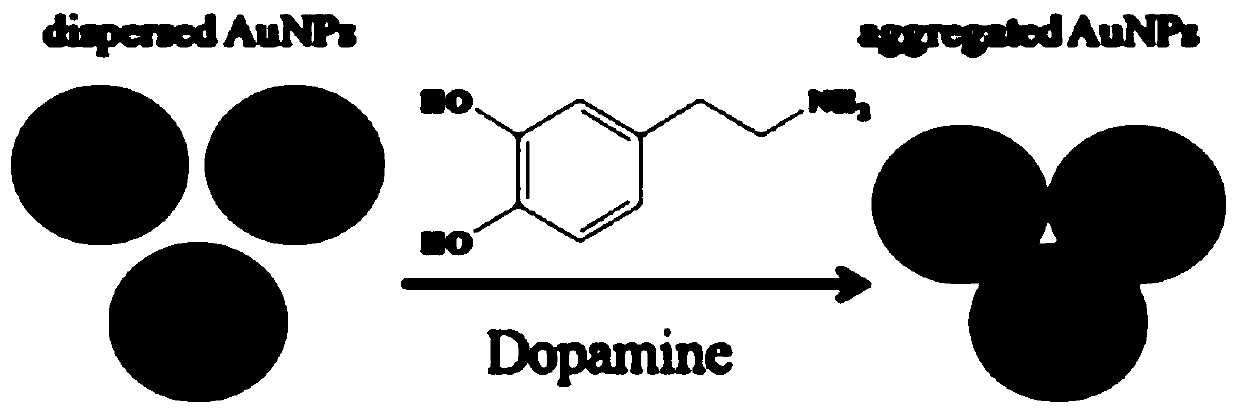 A method for detecting dopamine using 5-hydroxytryptamine-gold nanoparticles