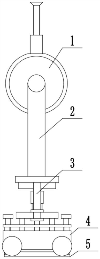 A poultry feed feeding device for aquaculture