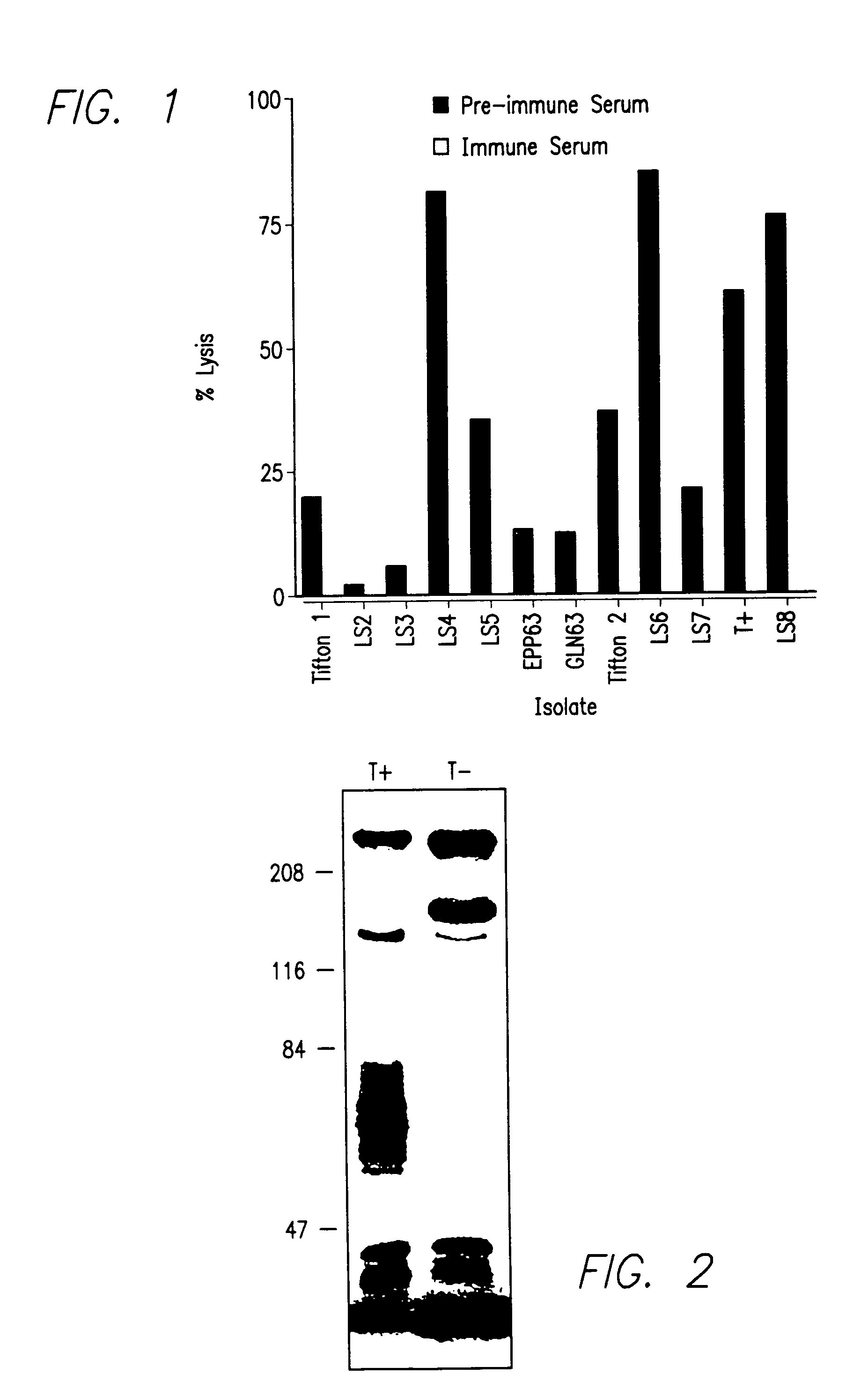 <i>Moraxella bovis </i>cytotoxin, cytotoxin gene, antibodies and vaccines for prevention and treatment of <i>Moraxella bovis </i>infections