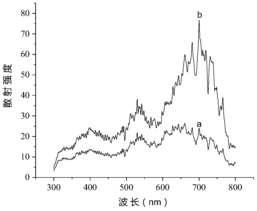 Method for determining trace hydrogen peroxide based on tetrasulfo nickel phthalocyanine