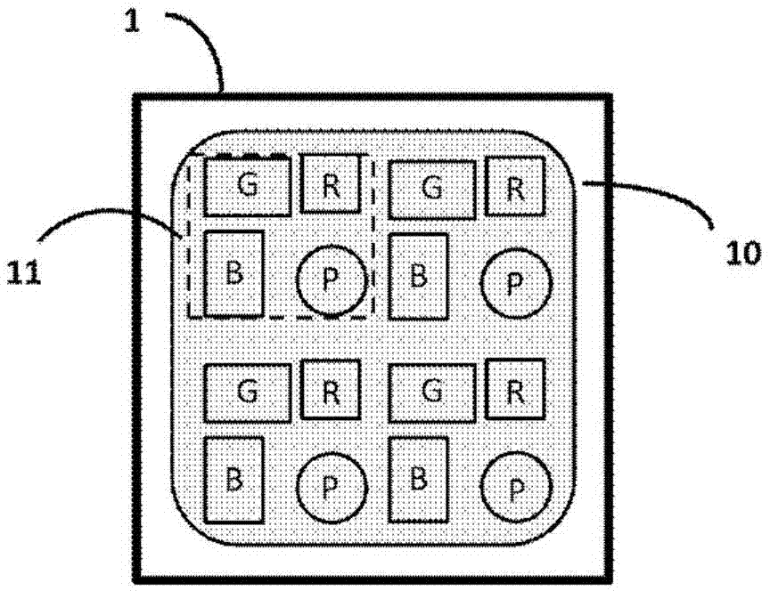 Display and communication dual-purpose visible light module