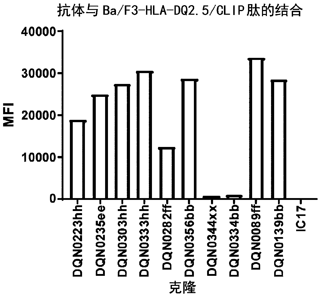 Anti-hla-dq2.5 antibody