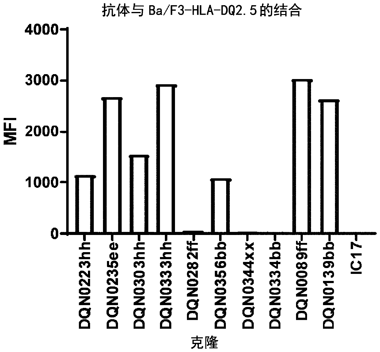 Anti-hla-dq2.5 antibody