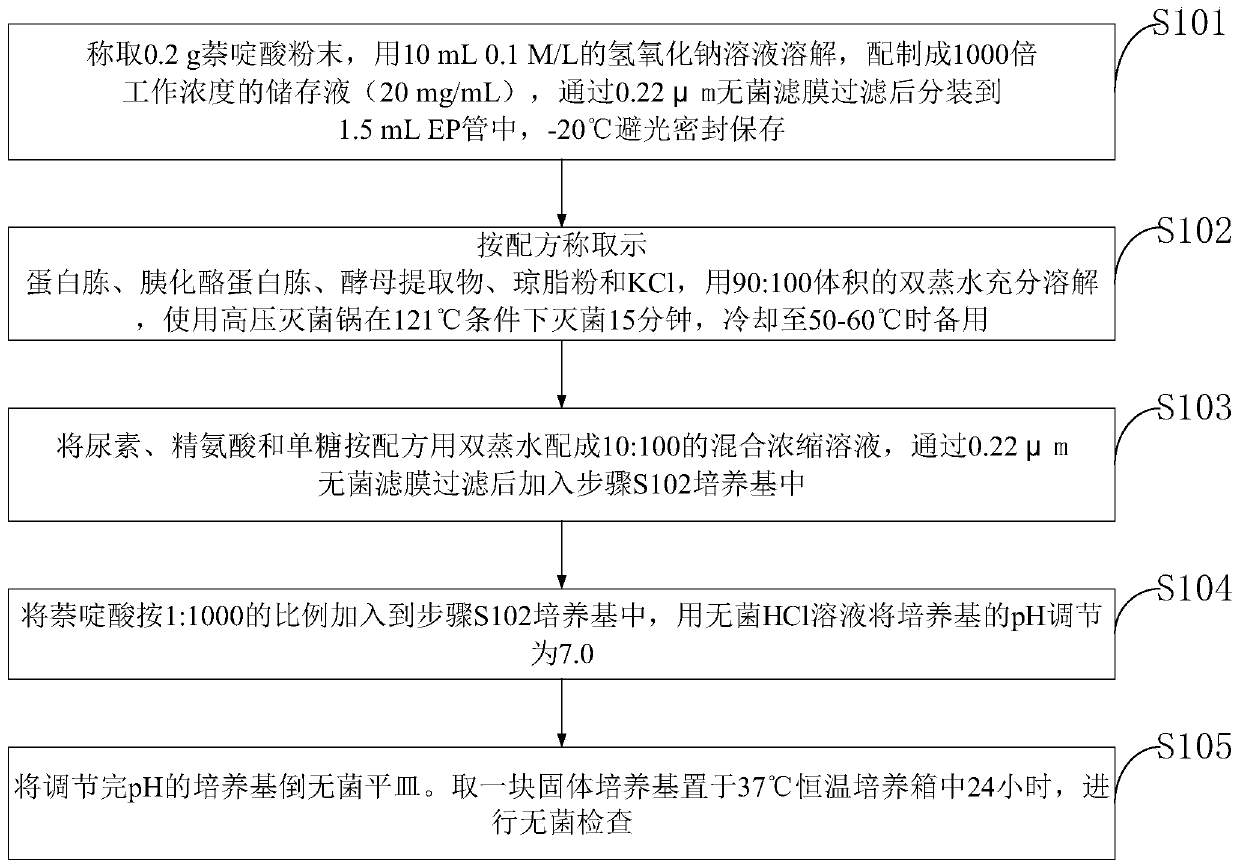 Specific solid streptococcus culture medium, preparation method and application thereof