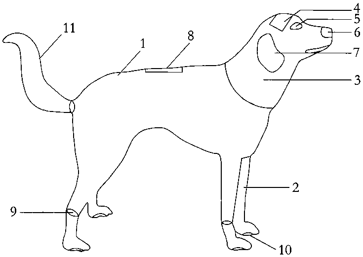 an electronic dog