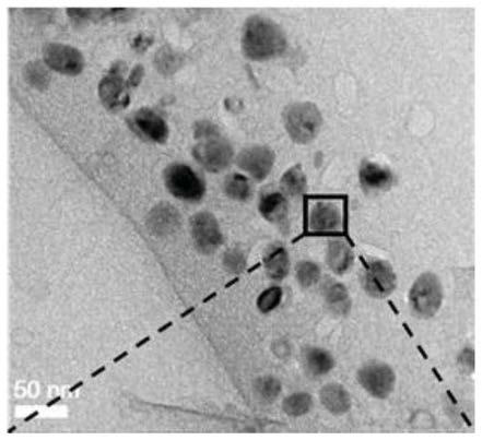 A kind of composite structure for negative electrode of lithium ion battery and preparation method thereof