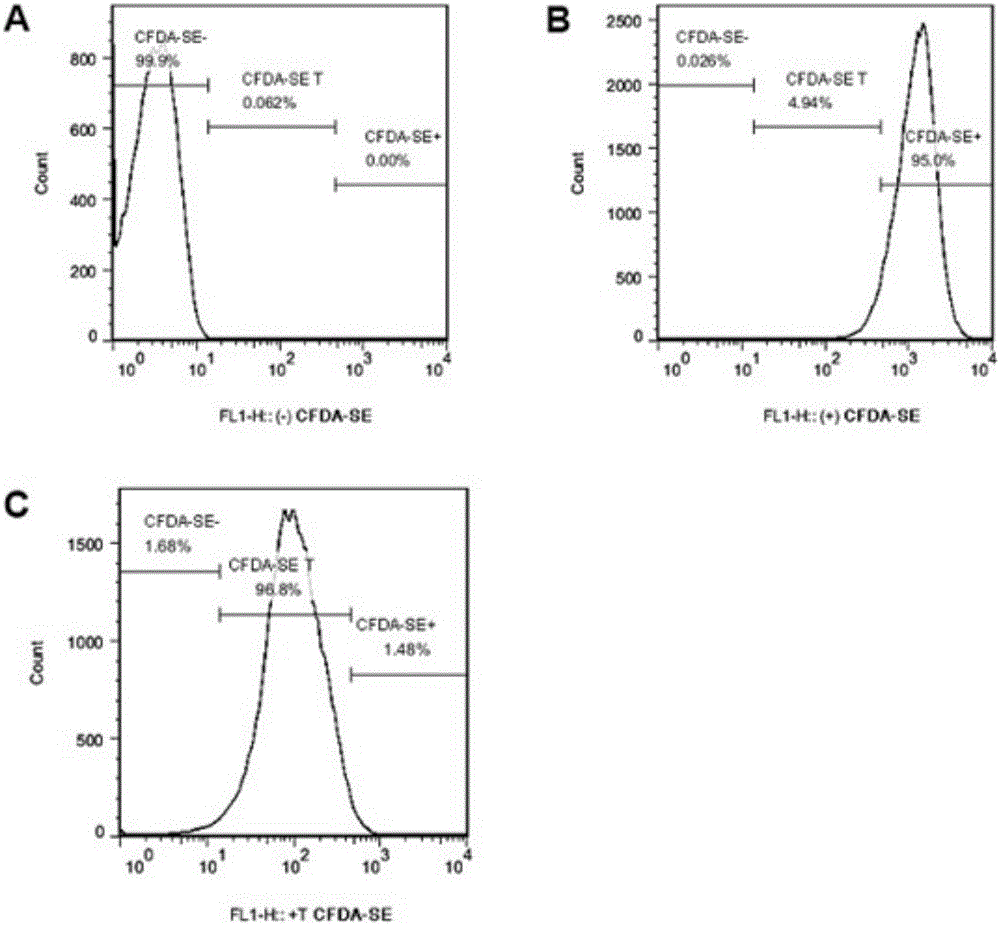 Detection method for adhesion rate and phagocytosis rate of phagocytes on baterial