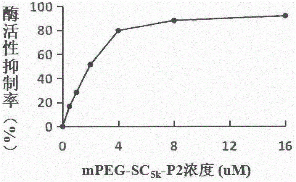mPEG-SC5K modified matrix metalloproteinase-9 inhibitor polypeptide P2 and application thereof