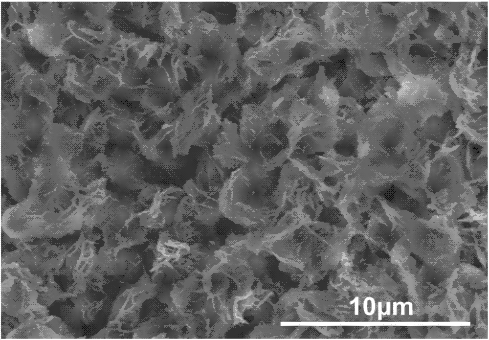 Simple preparation method of cobalt nickel sulfide nanosheet serving as supercapacitor electrode material