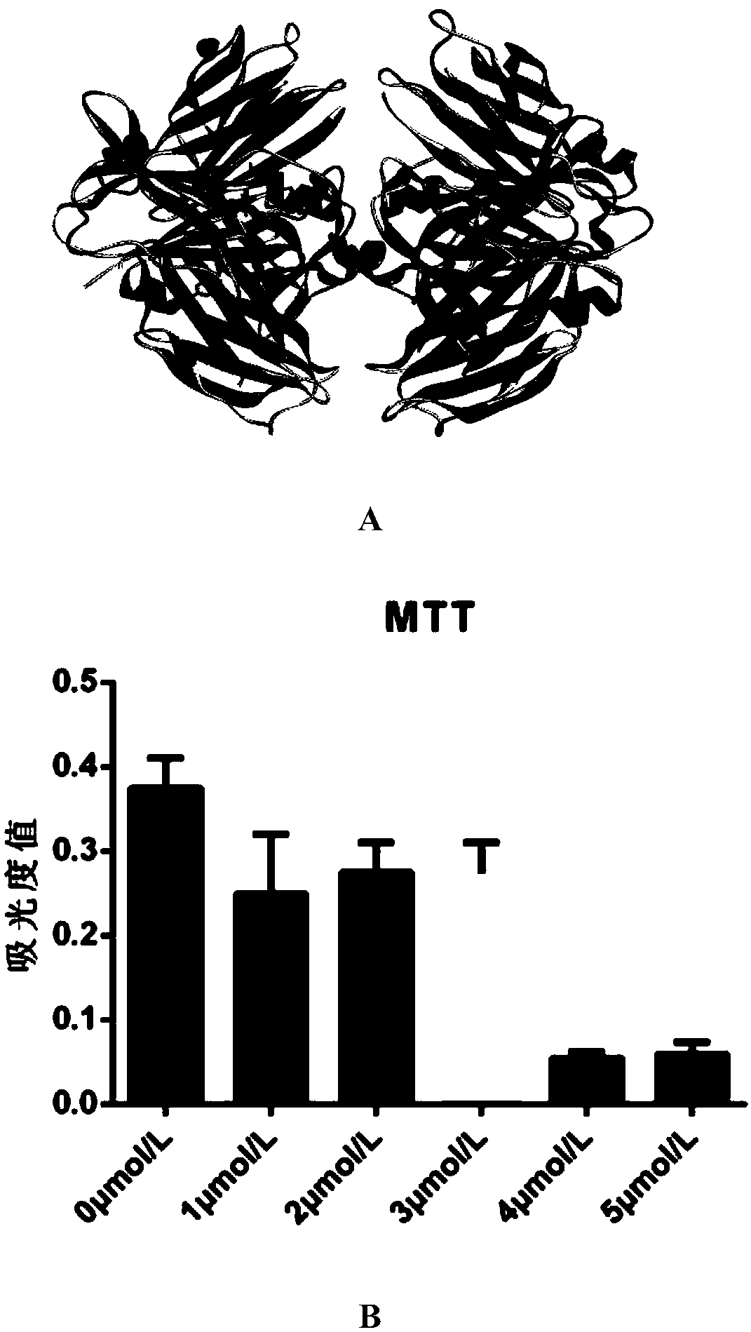 Application of TTR (transthyretin) to angiogenesis inhibition