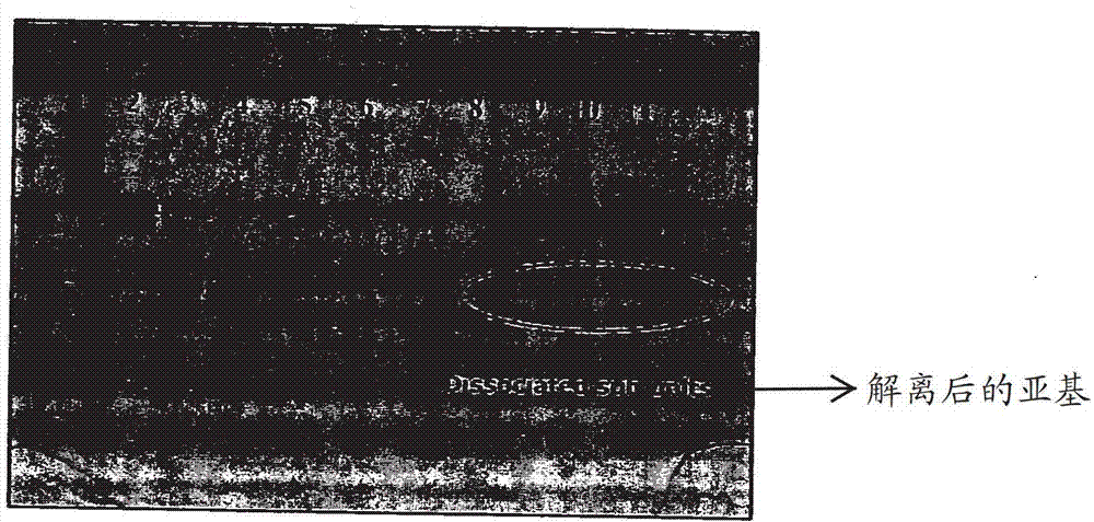 Liquid formulation of follicle stimulating hormone