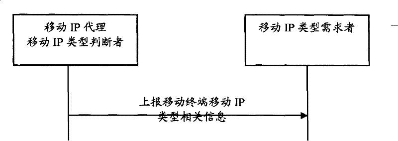 Method, system and mobile terminal for wireless network to capture mobile IP style of mobile terminal