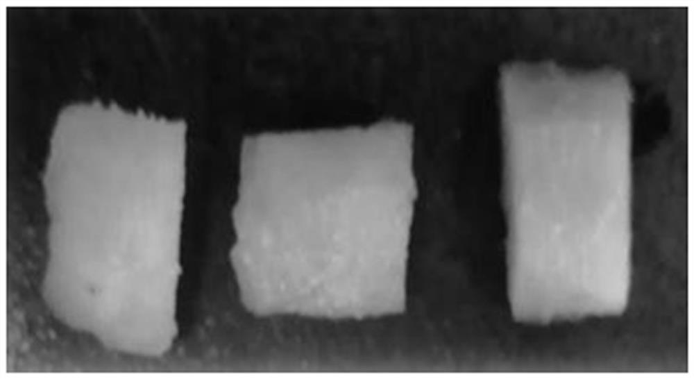 A culture method for inducing callus of Rosa roxburghii fruit and promoting the accumulation of its active substances